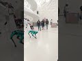 DUBAI MUSEUM Of The Future