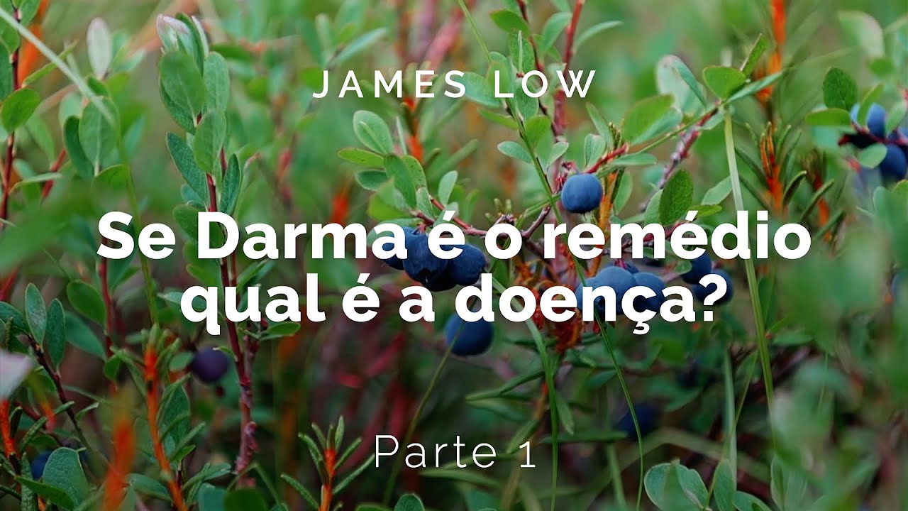 1/2 If Dharma is the medicine, what is the disease? [EN-PT] Zoom 11.2024