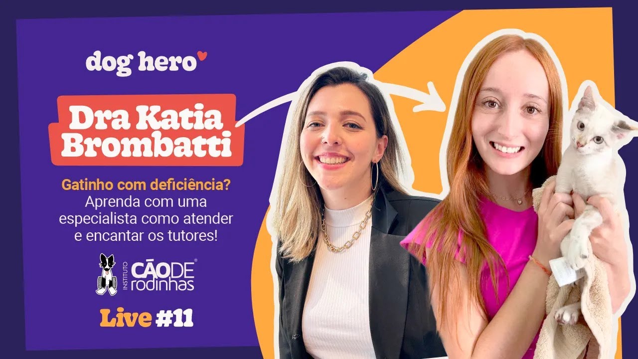 Gatinho com deficiência? Aprenda com uma especialista como atender e encantar os tutores! | Live #11