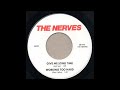 Working Too Hard - The Nerves