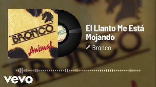 El Llanto Me Está Mojando Lyrics English Translation