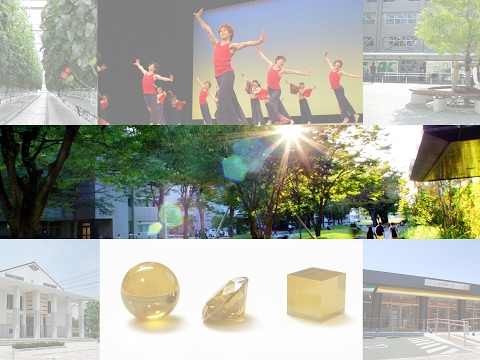 EhimeUniv のライブ ストリーム