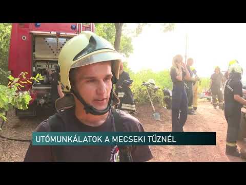 Még pénteken is dolgoztak a tűzoltók Patacson - az erdőtűz újralobbanásától lehetett tartani