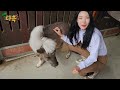 Clip 2