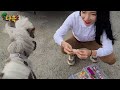 Clip 3