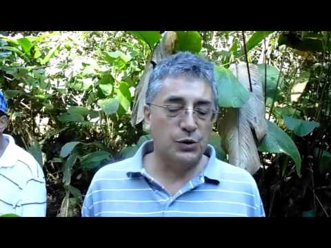 Video 21