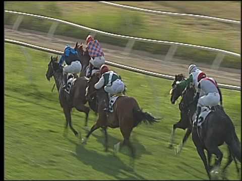 Galoppo 29/06/2016 - 2° corsa