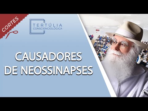 Que fatos energéticos podem ser causadores de neossinapses?