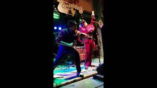 Dr. Sick performing with Squirrel Nut Zippers!