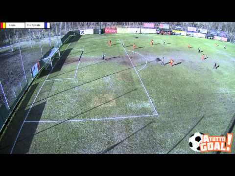 Sintesi femm Cosio Pro Novate 0 1