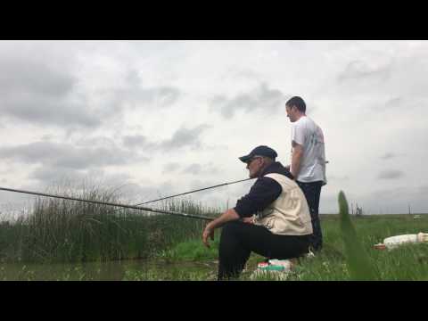 PESCUIT CARAS BALTA CALDARARU