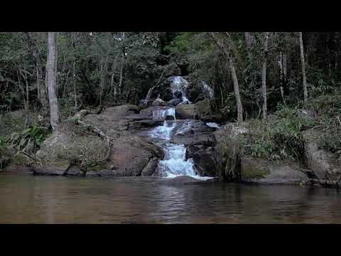 Óticas Carol Ouro Fino- Mg