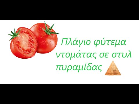 , title : 'Φύτεμα ντομάτας 2020  (πρώτο μέρος  τύπου πυραμίδα)'