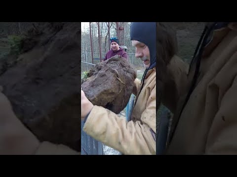 Dropping a Rock Down an Abandoned Coal Mine Shaft || ViralHog