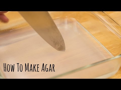 download lagu mp3 mp4 Agar Agar Kanten Powder, download lagu Agar Agar Kanten Powder gratis, unduh video klip Agar Agar Kanten Powder