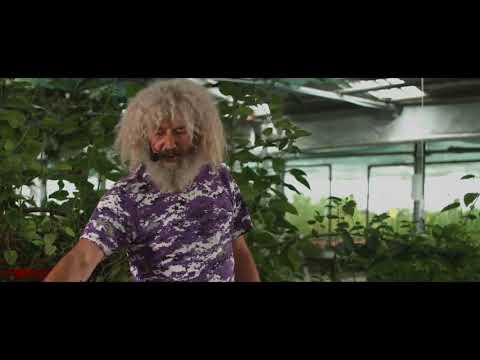 DAS ORIGINAL komplett Vortrag - Robert Franz