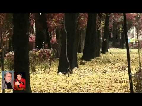 TATIANA STEPA SI TOTUSI VINE TOAMNA