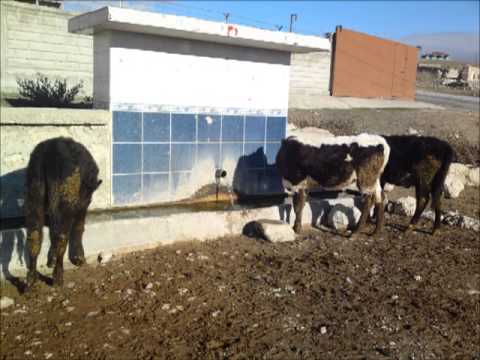 Gecmisten Gunumuze Sarayonu 89 Saraymedya