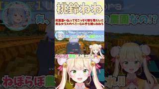 何度追い払ってもこっそり畑を荒らしに来るカラスのぺこーらに手を焼くねねち #shorts  #ホロライブ #切り抜き #vtuber #桃鈴ねね #兎田ぺこら #ホロ切り抜き