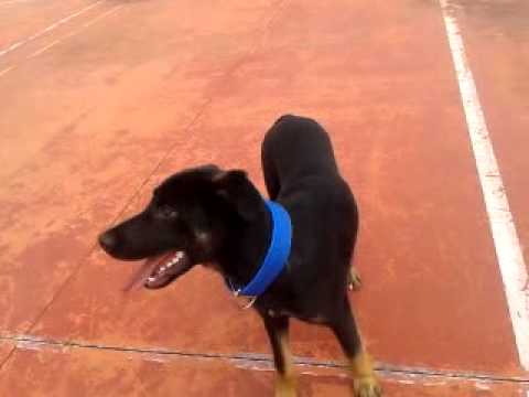 stefanomarco’s Video 58453311276 qz77dxy6wyU