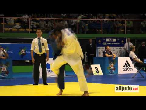 World Cup Rome 2012 : Gobert L. (FRA) - Van T End N. (NED) - IPPON -90kg