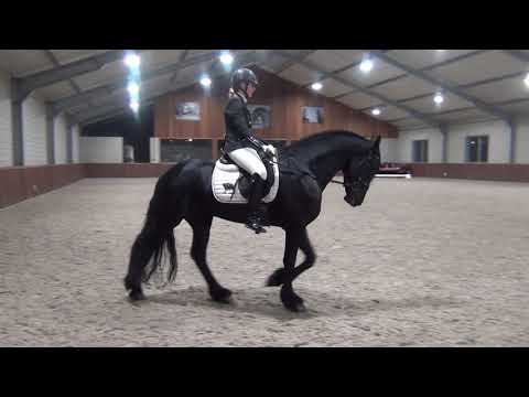 Stal Okkema's Tjalling v. Thorben tijdens de halve finale FTC