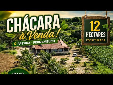 1070Sítio 12 hectares escriturado Passira 600.mil