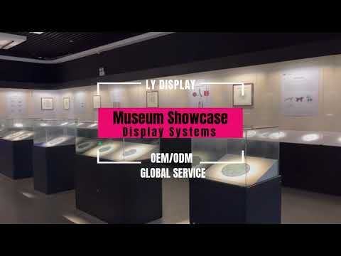Professional China Manuafacturer Custom Unique Museum Display Cases