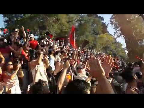 festejo juventud campeón LEF 2017