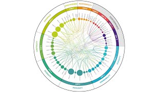 Reinventing the Wheel