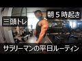 朝5時起きサラリーマンの平日ルーティン【筋トレ】【朝活】【三頭トレ】