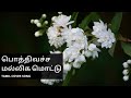 Potthivacha Malligamottu Cover Song With Karthik Susha