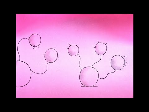 THE MEANING OF LIFE (restored) by DON HERTZFELDT