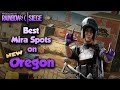 Oregon Basement Mira Setup