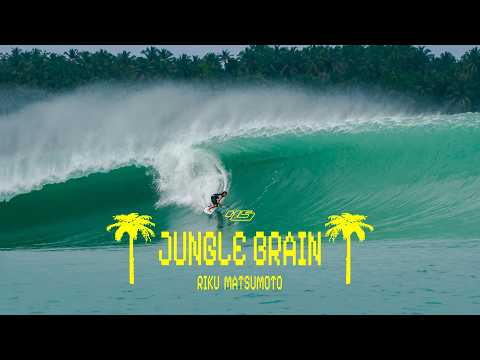 JUNGLE BRAIN | Riku Matsumoto joins Haydenshapes Team