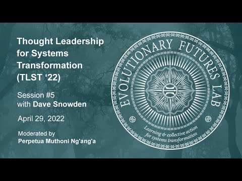 Session #5 with Dave Snowden — Thought Leadership for Systems Transformation (TLST '22)