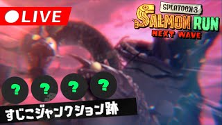 【オカシラ連合】すじこ野良ノーミスカンストやります - スプラトゥーン3・サーモンランNW