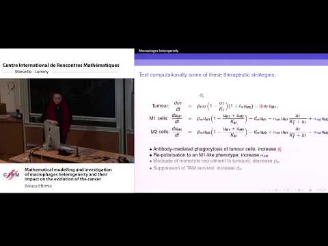 Raluca Eftimie: Mathematical modelling and investigation of macrophages heterogeneity and...
