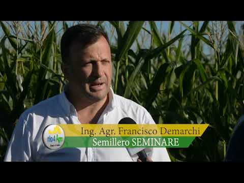 PROGRAMA RIO4AGRO 07 03 BLOQUE 1 - SEMINARE