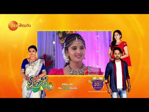 Raktha Sambandham - Telugu Tv Serial - Webisode - 326 - Meghana lokesh,Jyothi reddy - Zee Telugu