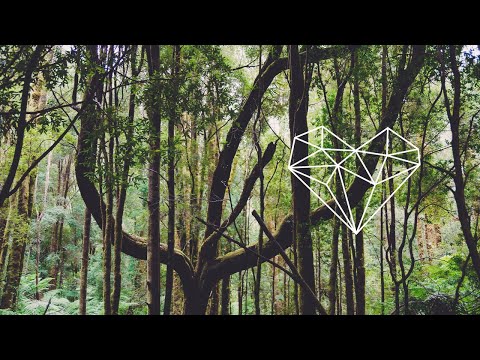 Adam Husa - Become (Original Mix) [Nu-disco / Husa Sounds]