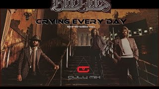 BEE GEES - Cryin&#39; Every Day - Extended Mix (gulymix)