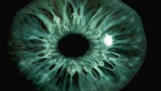 John Zorn - iao - The Clavicle