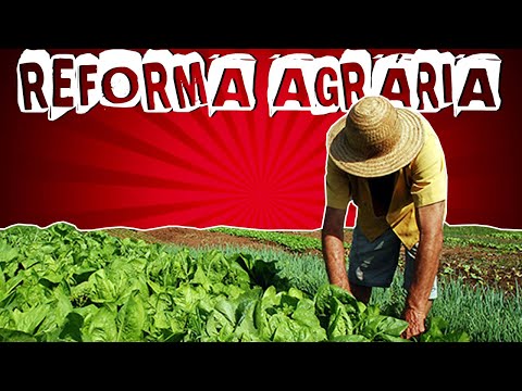 CONCENTRAÇÃO FUNDIÁRIA E REFORMA AGRÁRIA NO BRASIL