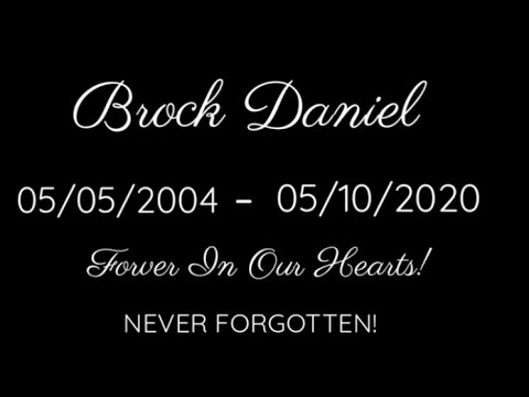 STN - Brock's Song (R.I.P BROCKY)