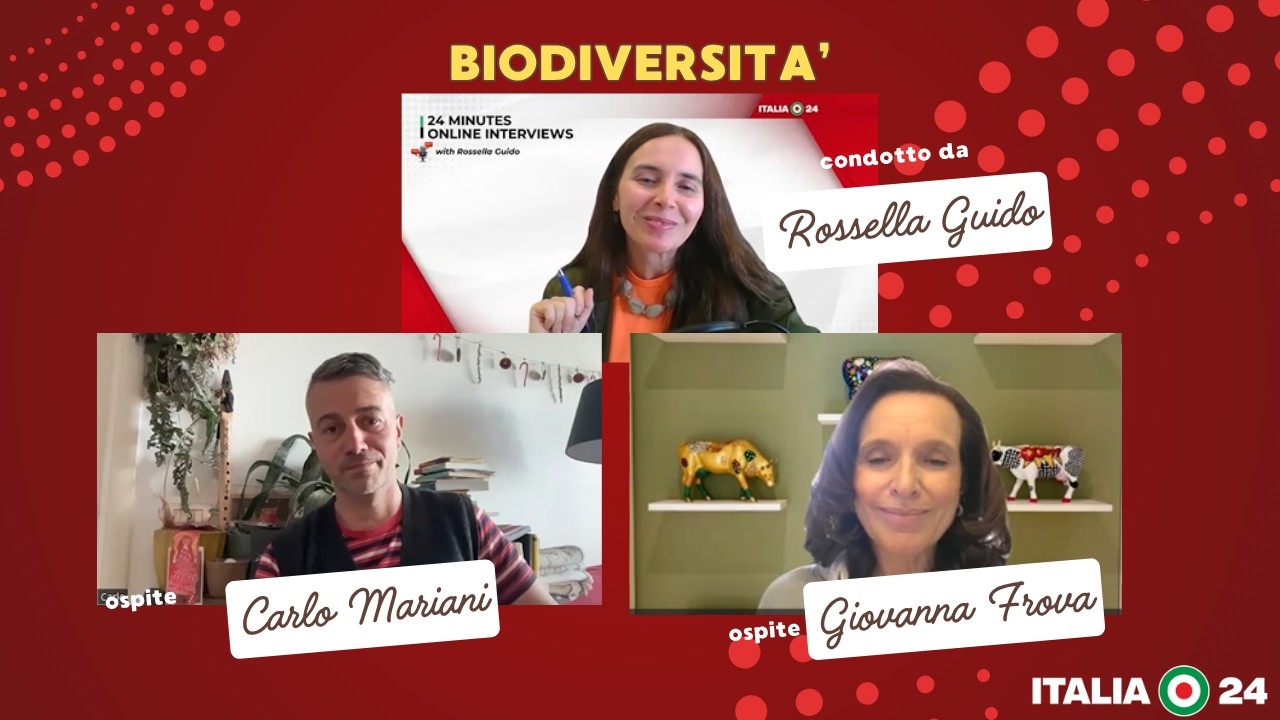 Api, pascoli e clima: quando la biodiversità diventa qualità e futuro