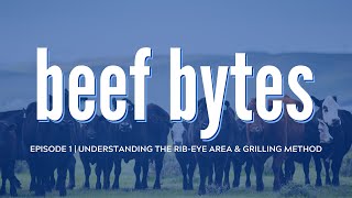 Understanding the Rib-eye Area & Grilling Method, Beef Bytes: Episode 1