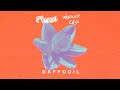 Jean Tonique & warner case - daffodil