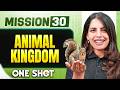 ANIMAL KINGDOM In ONE SHOT All Concepts Tricks PYQ NEET 2026