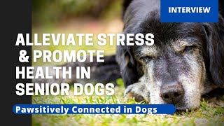 Alleviate Stress & Promote Health in Senior Dogs